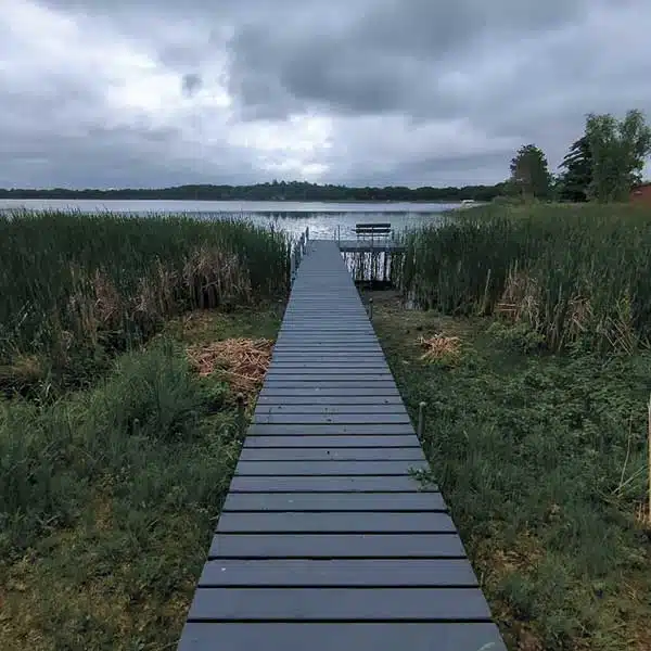 Cattail Removal in Eden Prairie