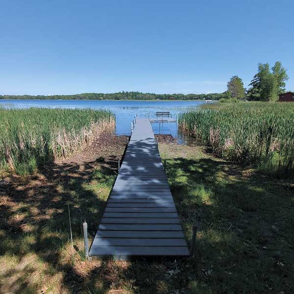 Cattail Removal in Eden Prairie