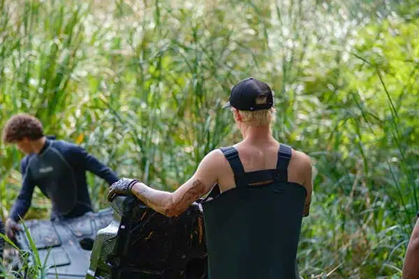 Cattail Removal in Eden Prairie